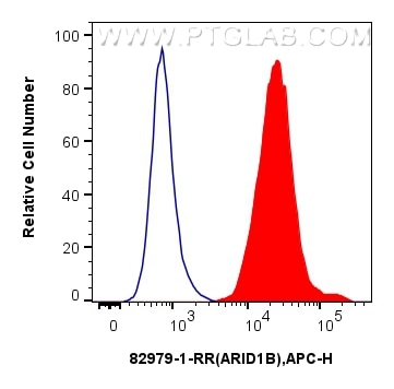 Flow cytometry (FC) experiment of HEK-293 cells using ARID1B Recombinant antibody (82979-1-RR)