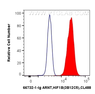 Flow cytometry (FC) experiment of HeLa cells using ARNT,HIF1B Monoclonal antibody (66732-1-Ig)