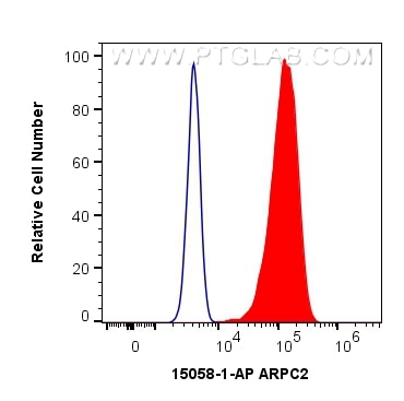 Flow cytometry (FC) experiment of HeLa cells using ARPC2 Polyclonal antibody (15058-1-AP)