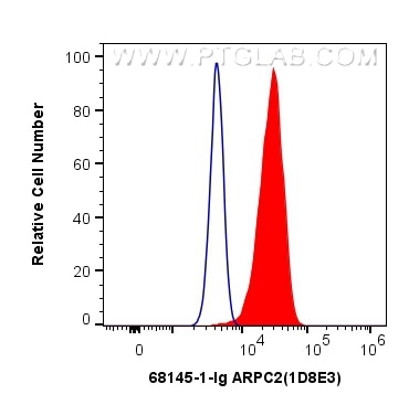 Flow cytometry (FC) experiment of HeLa cells using ARPC2 Monoclonal antibody (68145-1-Ig)