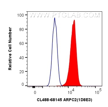 Flow cytometry (FC) experiment of HeLa cells using CoraLite® Plus 488-conjugated ARPC2 Monoclonal ant (CL488-68145)