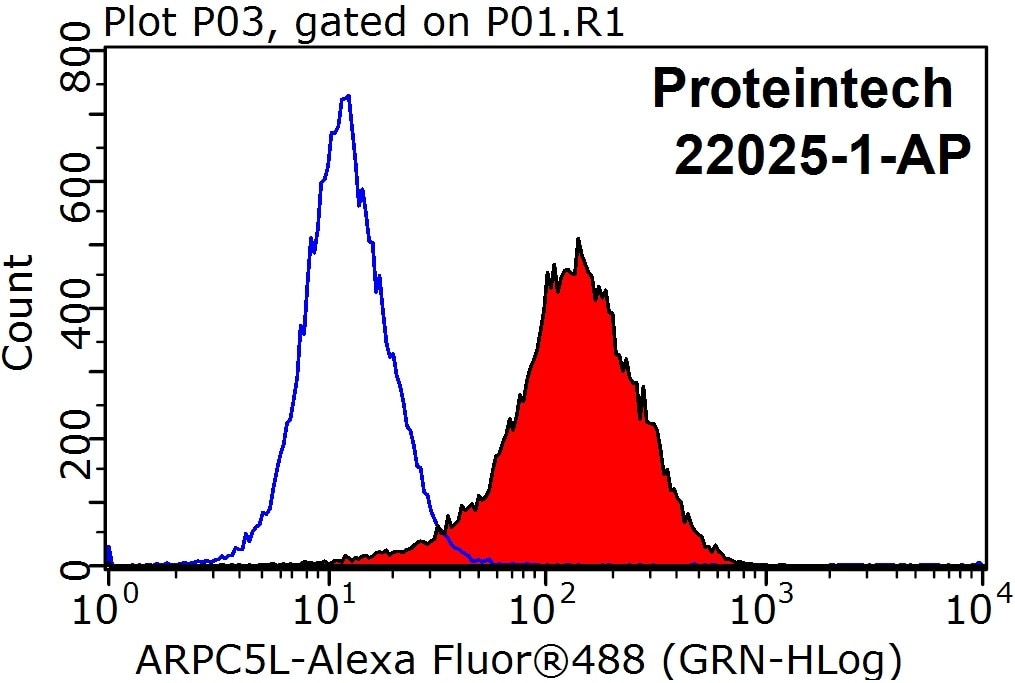 Flow cytometry (FC) experiment of MCF-7 cells using ARPC5L Polyclonal antibody (22025-1-AP)