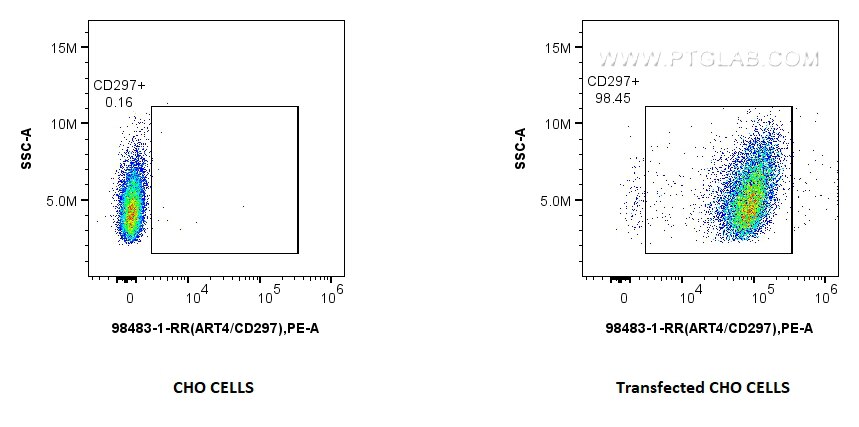 Flow cytometry (FC) experiment of Transfected CHO using Anti-Human ART4/CD297 Rabbit Recombinant Antibody (98483-1-RR)