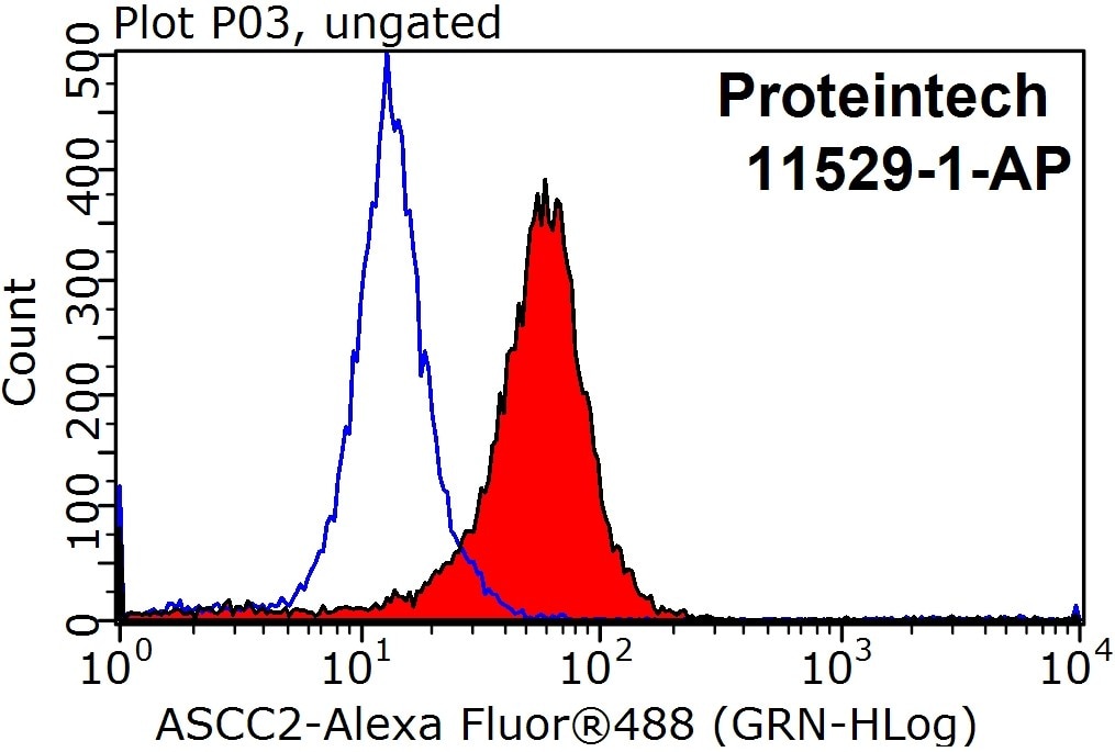 Flow cytometry (FC) experiment of HepG2 cells using ASCC2 Polyclonal antibody (11529-1-AP)