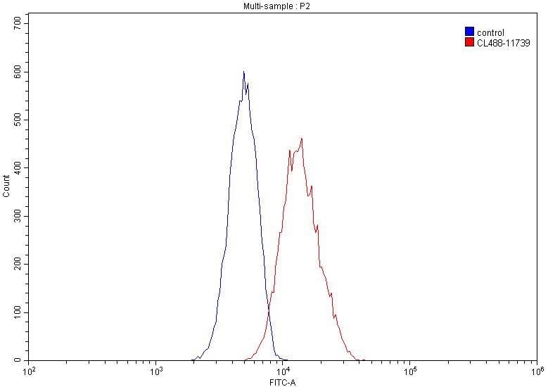 Flow cytometry (FC) experiment of HepG2 cells using CoraLite® Plus 488-conjugated ASGR1 Polyclonal ant (CL488-11739)