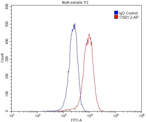 Flow cytometry (FC) experiment of HepG2 cells using ASGR2 Polyclonal antibody (11501-2-AP)