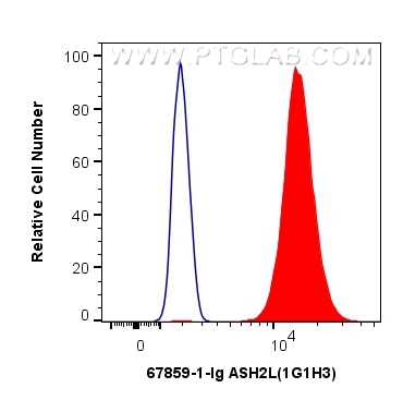 Flow cytometry (FC) experiment of HeLa cells using ASH2L Monoclonal antibody (67859-1-Ig)