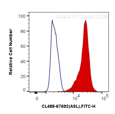 Flow cytometry (FC) experiment of K-562 cells using CoraLite® Plus 488-conjugated ASL Monoclonal antib (CL488-67692)