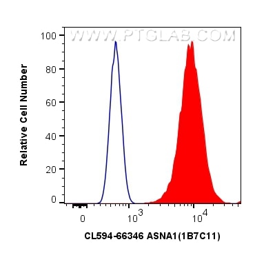 Flow cytometry (FC) experiment of HEK-293 cells using CoraLite®594-conjugated ASNA1 Monoclonal antibody (CL594-66346)