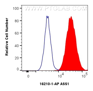 Flow cytometry (FC) experiment of HeLa cells using ASS1 Polyclonal antibody (16210-1-AP)