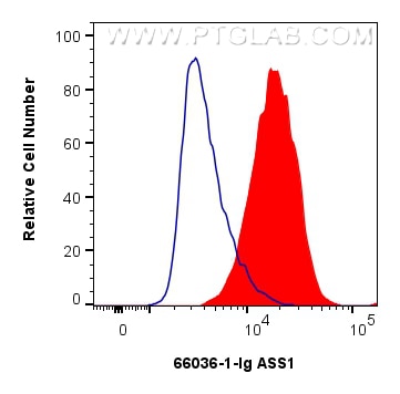 Flow cytometry (FC) experiment of MCF-7 cells using ASS1 Monoclonal antibody (66036-1-Ig)