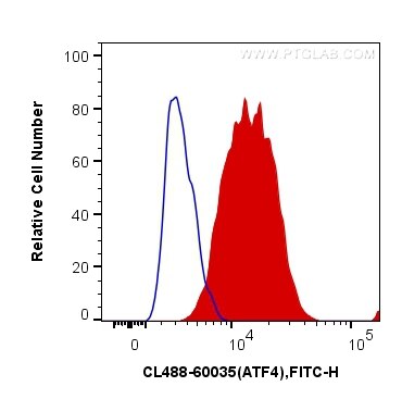 Flow cytometry (FC) experiment of HeLa cells using CoraLite® Plus 488-conjugated ATF4 Monoclonal anti (CL488-60035)