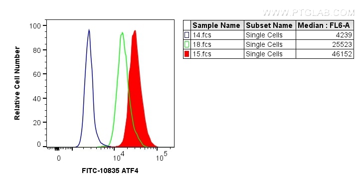 Flow cytometry (FC) experiment of HeLa cells using FITC-conjugated ATF4 Polyclonal antibody (FITC-10835)