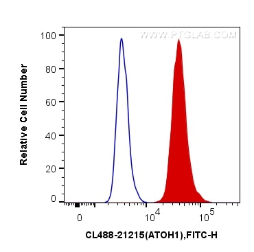 Flow cytometry (FC) experiment of HepG2 cells using CoraLite® Plus 488-conjugated ATOH1 Polyclonal ant (CL488-21215)