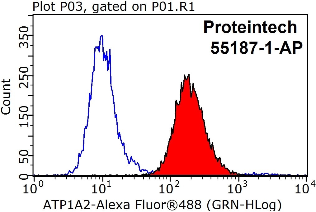 Flow cytometry (FC) experiment of HEK-293 cells using ATP1A1-Specific Polyclonal antibody (55187-1-AP)