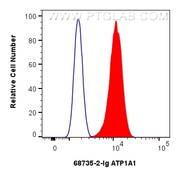 FC experiment of HEK-293 using 68735-2-Ig Flow cytometry (FC) experiment of HEK-293 cells using ATP1A1 Monoclonal antibody (68735-2-Ig)