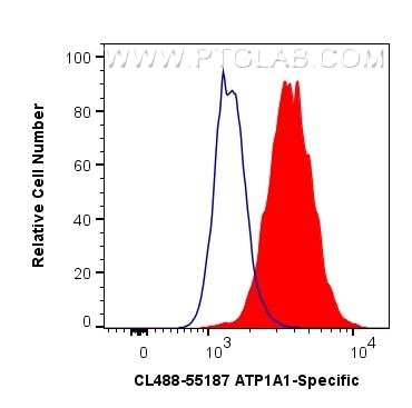 Flow cytometry (FC) experiment of HEK-293 cells using CoraLite® Plus 488-conjugated ATP1A1-Specific Poly (CL488-55187)