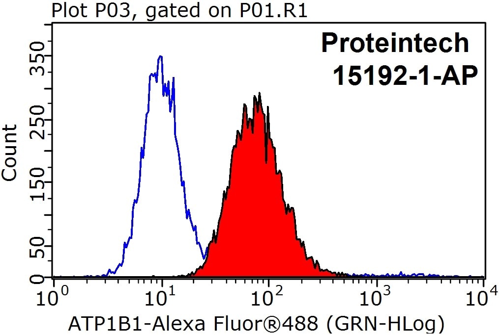 Flow cytometry (FC) experiment of HEK-293 cells using ATP1B1 Polyclonal antibody (15192-1-AP)