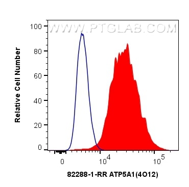 Flow cytometry (FC) experiment of HeLa cells using ATP5A1 Recombinant antibody (82288-1-RR)
