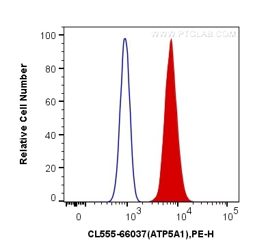 Flow cytometry (FC) experiment of HeLa cells using CoraLite®555-conjugated ATP5A1 Monoclonal antibody (CL555-66037)