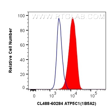 Flow cytometry (FC) experiment of HeLa cells using CoraLite® Plus 488-conjugated ATP5C1 Monoclonal an (CL488-60284)