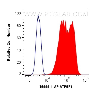 Flow cytometry (FC) experiment of HeLa cells using ATP5F1 Polyclonal antibody (15999-1-AP)