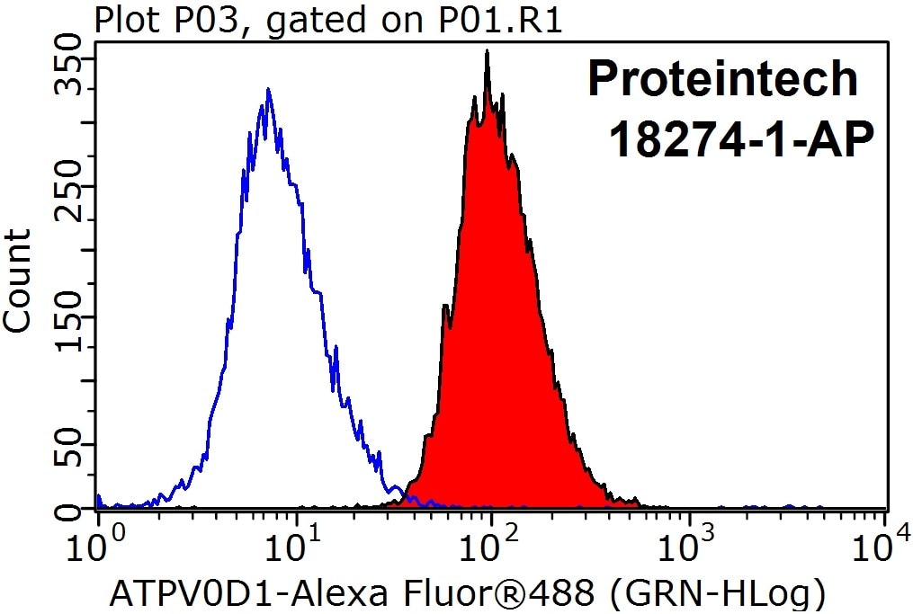 Flow cytometry (FC) experiment of HeLa cells using ATP6V0D1 Polyclonal antibody (18274-1-AP)