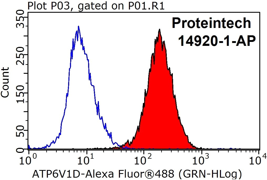 Flow cytometry (FC) experiment of HeLa cells using ATP6V1D Polyclonal antibody (14920-1-AP)
