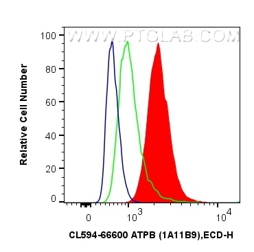 Flow cytometry (FC) experiment of HepG2 cells using CoraLite®594-conjugated ATPB Monoclonal antibody (CL594-66600)