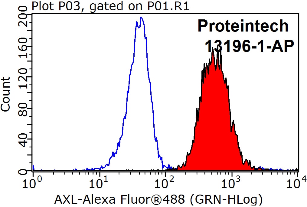 Flow cytometry (FC) experiment of HeLa cells using AXL Polyclonal antibody (13196-1-AP)