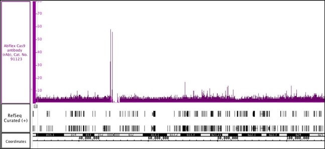 AbFlex Cas9 recombinant antibody (rAb) tested by ChIP-Seq Chromatin immunoprecipitation (ChIP) was performed using the ChIP-IT High Sensitivity Kit (Cat. No. 53040) with 30 ug of Jurkat cell chromatin and 4 ug of AbFlex Cas9 antibody. ChIP DNA was sequenced on the Illumina NextSeq and 8 million sequence tags were mapped to identify binding sites on chromosome 4.
