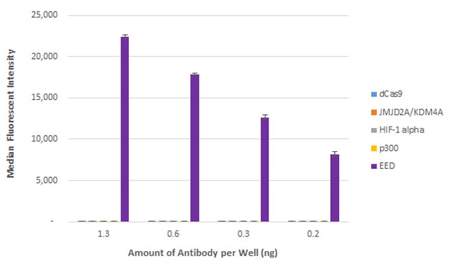 AbFlex EED antibody (rAb) tested by Luminex bead-based specificity analysis. Luminex bead-based specificity analysis was used to confirm the specificity of AbFlexTM EED antibody (rAb) for EED. Various proteins were conjugated to MagPlex Luminex beads and incubated with various amounts of AbFlexTM EED antibody (rAb). Protein-bound antibody was detected with anti-mouse IgG-Phycoerythrin and read in a Luminex instrument. Luminex is a registered trademark of Luminex Corporation.