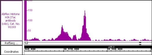 AbFlex Histone H3K27ac antibody tested by CUT&Tag CUT&Tag was performed using 250,000 K562 cells and sequenced using 38 base-pair, paired-end reads on the Illumina NextSeq 500/550. Data was collected from 31 million reads, and Histone H3K27ac data is shown for Chromosome 1.