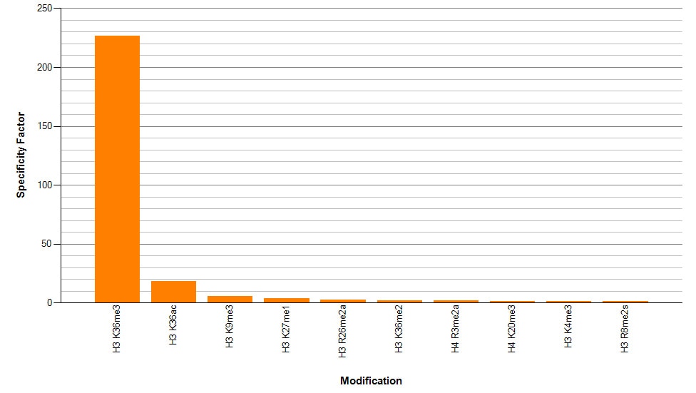 Histone H3K36me3 antibody (rAb) specificity tested by peptide array analysis. Peptide array analysis was used to confirm the specificity of this antibody for its intended modification. Histone H3K36me3 antibody was applied at a dilution of 0.2 ug/ml to Active Motif's MODified Histone Peptide Array (Catalog No. 13001). The arrays were scanned with ArrayAnalysis Software 16 and the results plotted. Specificity data is shown for the most reactive peptides and those related to the immunogen.