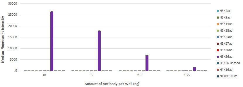 AbFlex Histone H3K56ac antibody (rAb) tested by Luminex bead-based specificity analysis. Luminex bead-based specificity analysis was used to confirm the specificity of AbFlex Histone H3K56ac antibody (rAb) antibody for H3K56ac. Peptides corresponding to regions around major sites of histone H3 acetylation or other acetyl-lysine peptides were conjugated to MagPlex Luminex beads and incubated with various amounts of AbFlex Histone H3K56ac antibody (rAb). Peptide-bound antibody was detected with anti-mouse IgG-Phycoerythrin and read in a Luminex instrument. Luminex is a registered trademark of Luminex Corporation.