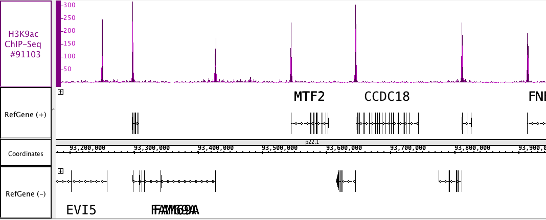 AbFlex Histone H3K9ac antibody (rAb) tested by ChIP-Seq. ChIP was performed using the ChIP-IT High Sensitivity Kit (Cat. No. 53040) with 30 ug of chromatin from PC9 cell line and 4 ug of antibody. ChIP DNA was sequenced on the Illumina HiSeq and 22 million sequence tags were mapped to identify Histone H3K9ac binding sites. The image shows binding across a region of chromosome 1.