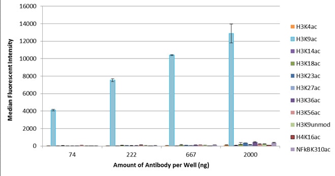 AbFlex Histone H3K9ac antibody (rAb) tested by Luminex bead-based specificity analysis. Luminex bead-based specificity analysis was used to confirm the specificity of AbFlex Histone H3K9ac antibody (rAb) antibody for acetyl-lysine 9 H3. Peptides corresponding to regions around major sites of histone H3 acetylation or other acetyl-lysine peptides were conjugated to MagPlex Luminex beads and incubated with various amounts of AbFlexHistone H3K9ac antibody (rAb). Peptide-bound antibody was detected with anti-mouse IgG-Phycoerythrin and read in a Luminex instrument. Luminex is a registered trademark of Luminex Corporation.