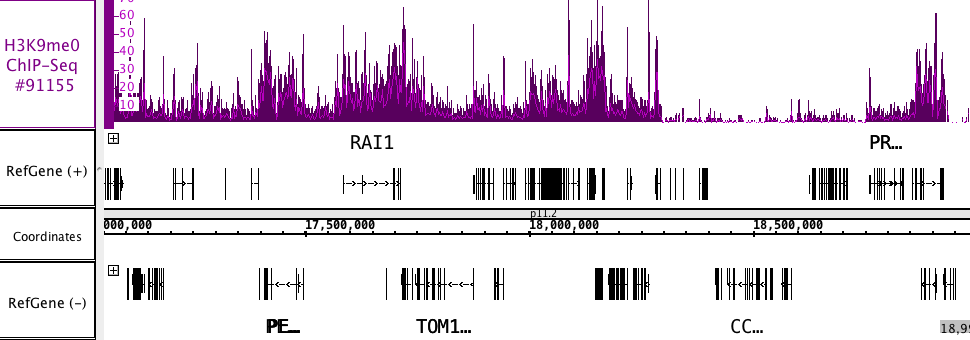 AbFlex Histone H3K9me0 Antibody (rAb) tested by ChIP-Seq. ChIP was performed using the ChIP-IT High Sensitivity Kit (Cat. No. 53040) with 30 ug of chromatin from PC9, lung adenocarcinoma, cells and 4 ug of antibody. ChIP DNA was sequenced on the Illumina HiSeq and 30 million sequence tags were mapped to identify Histone H3K9me0 binding sites. The image shows binding across a region of chromosome 17.