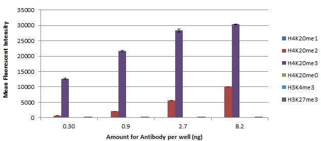 AbFlex Histone H4K20me3 antibody (rAb) tested by Luminex bead-based specificity analysis. Luminex bead-based specificity analysis was used to confirm the specificity of AbFlex Histone H4K20me3 antibody (rAb) antibody for Histone H4K20me3. Various methyl-lysine H4 or H3 peptides were conjugated to MagPlex Luminex beads and incubated with various amounts of AbFlex Histone H4K20me3antibody (rAb). Peptide-bound antibody was detected with anti-mouse IgG-Phycoerythrin and read in a Luminex instrument. Luminex is a registered trademark of Luminex Corporation.