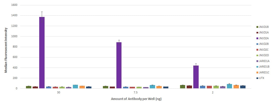 AbFlex JMJD2A antibody (rAb) tested by Luminex bead-based specificity analysis. Luminex bead-based specificity analysis was used to confirm the specificity of AbFlexTM JMJD2A antibody (rAb) antibody for JMJD2A. Various proteins were conjugated to MagPlex Luminex beads and incubated with various amounts of AbFlexTM JMJD2A antibody (rAb). Protein-bound antibody was detected with anti-mouse IgG-Phycoerythrin and read in a Luminex instrument. Luminex is a registered trademark of Luminex Corporation.