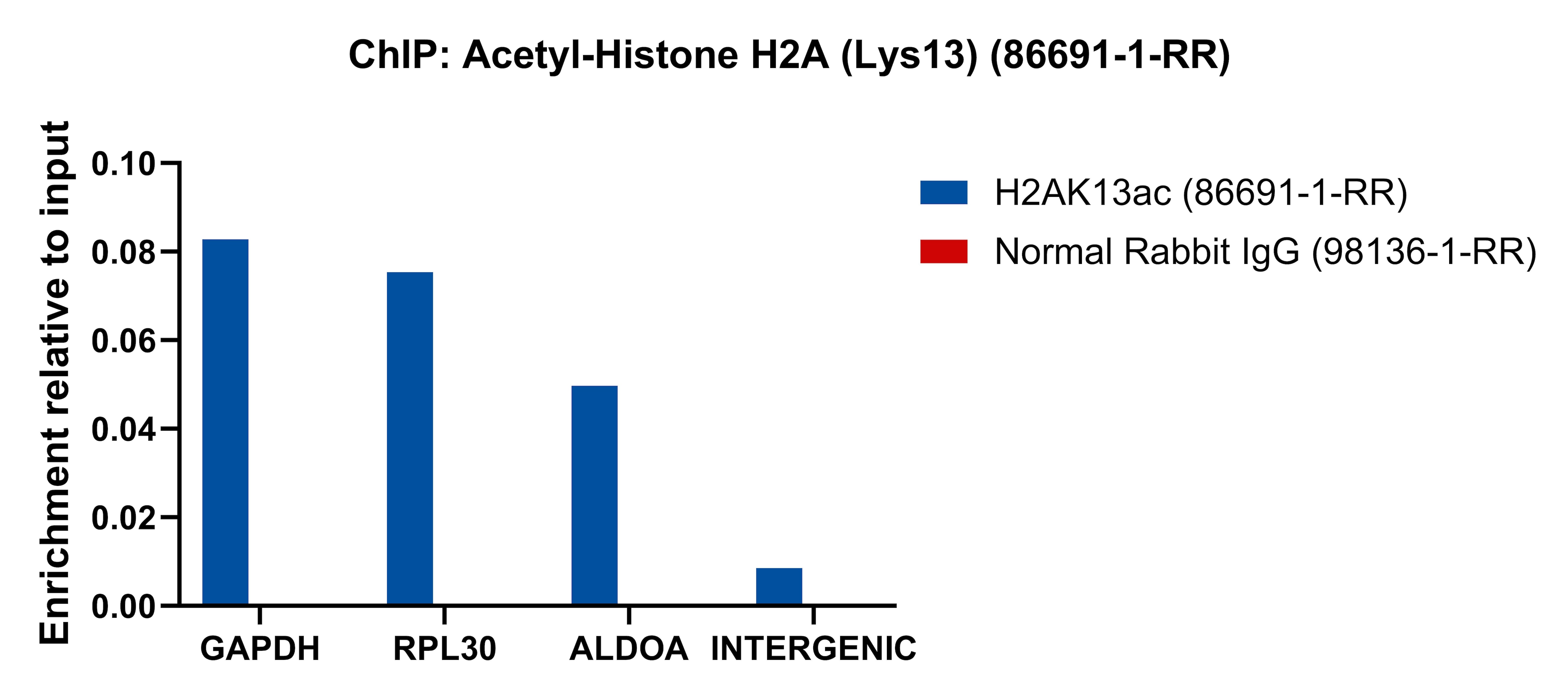 86691 Acetyl-Histone H2A (Lys13) antibody (86691-1-RR) | Proteintech