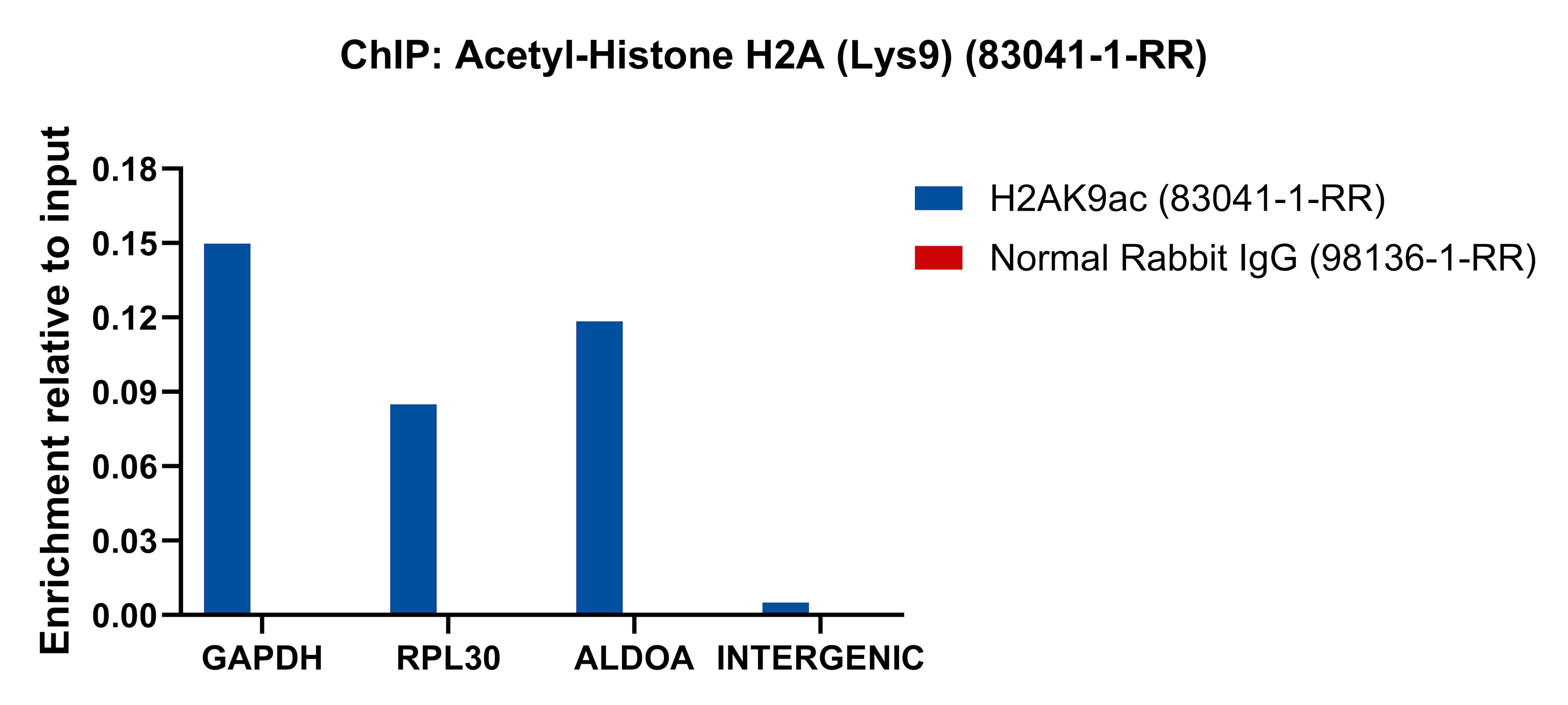 ChIP experiment of HeLa cells using Acetyl-Histone H2A (Lys9) Recombinant antibody (83041-1-RR)