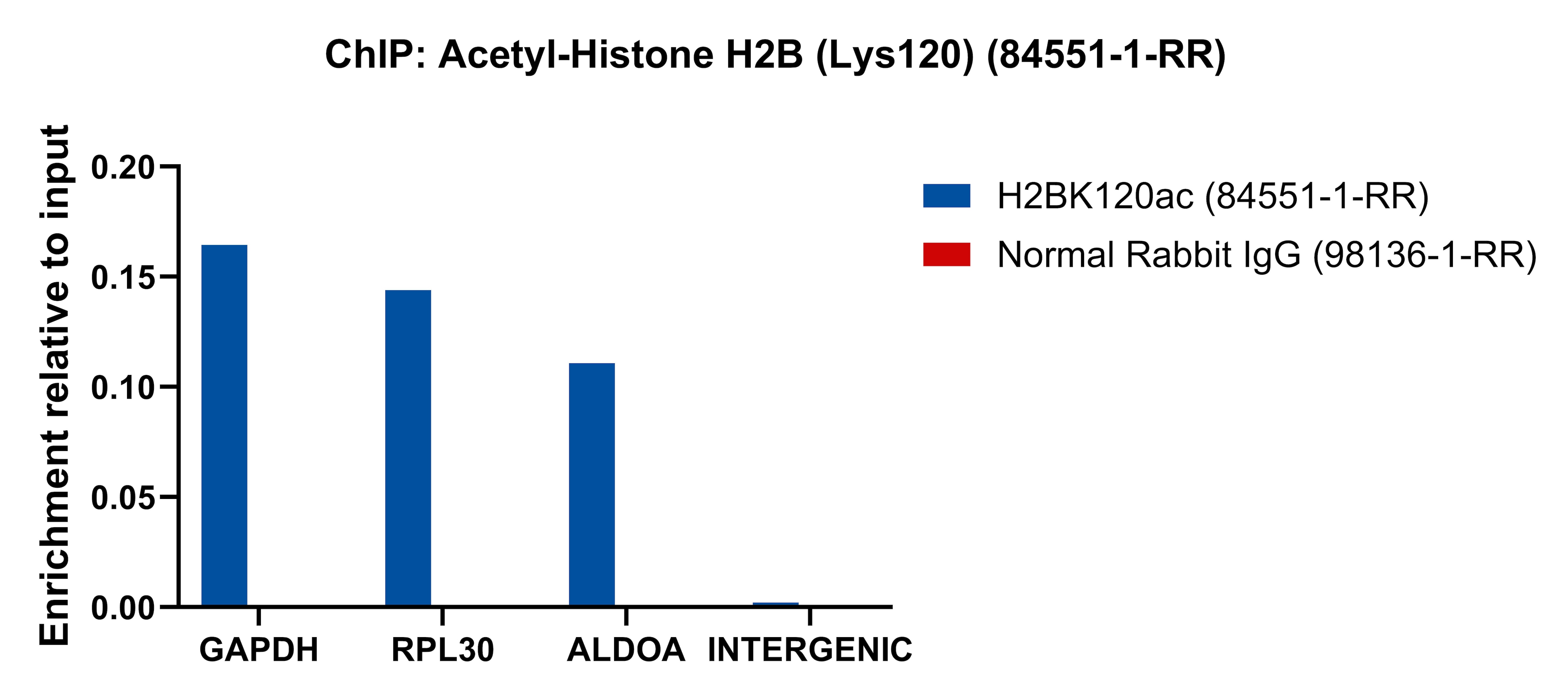 ChIP experiment of HeLa cells using Acetyl-Histone H2B (Lys120) Recombinant antibody (84551-1-RR)