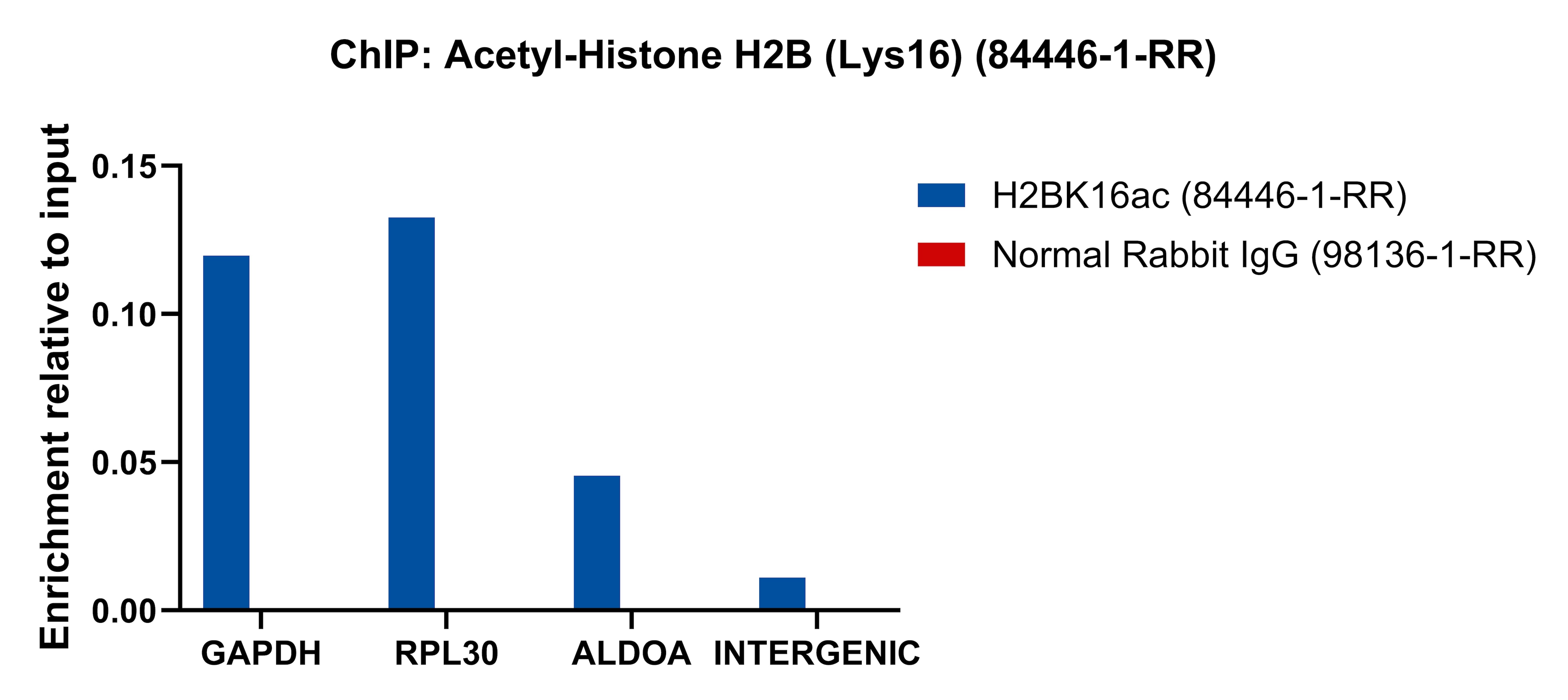 ChIP experiment of HeLa cells using Acetyl-Histone H2B (Lys16) Recombinant antibody (84446-1-RR)