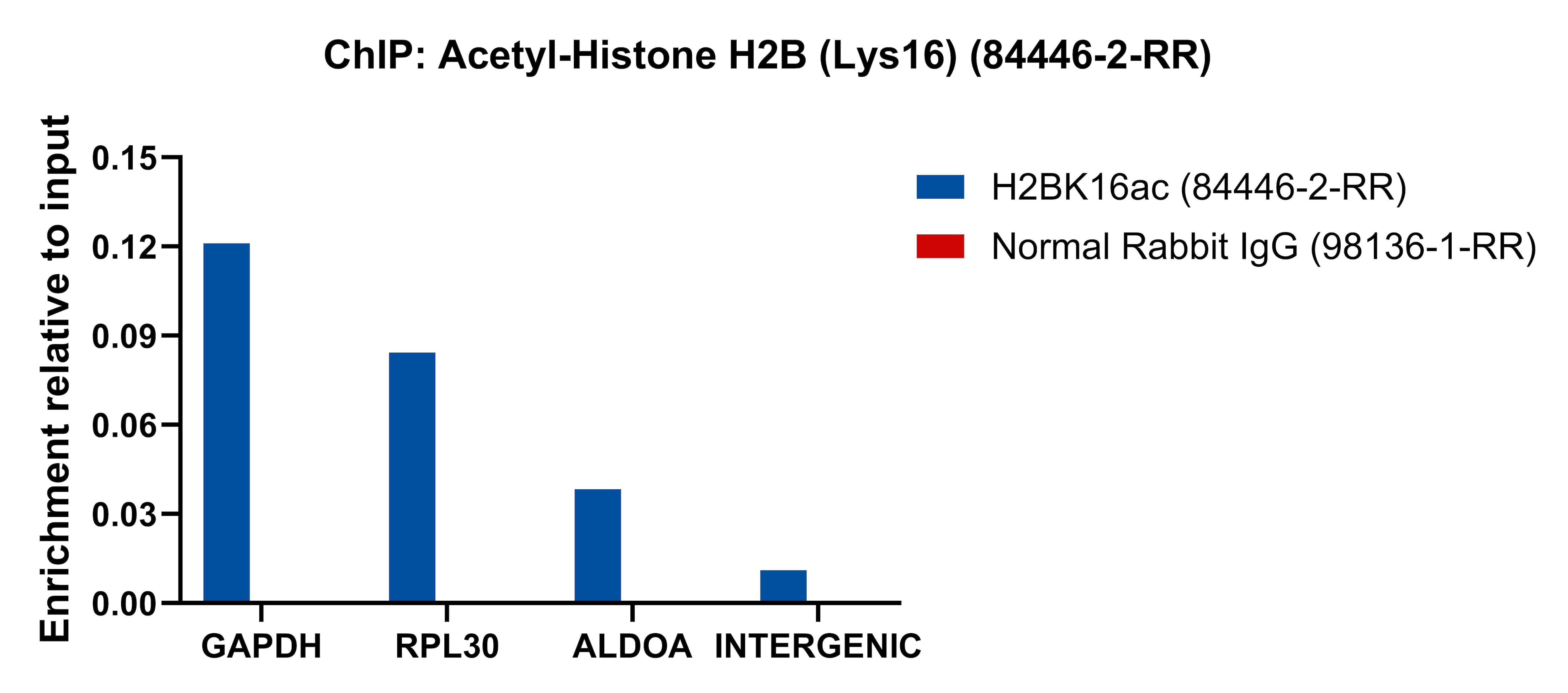 ChIP experiment of HeLa cells using Acetyl-Histone H2B (Lys16) Recombinant antibody (84446-2-RR)