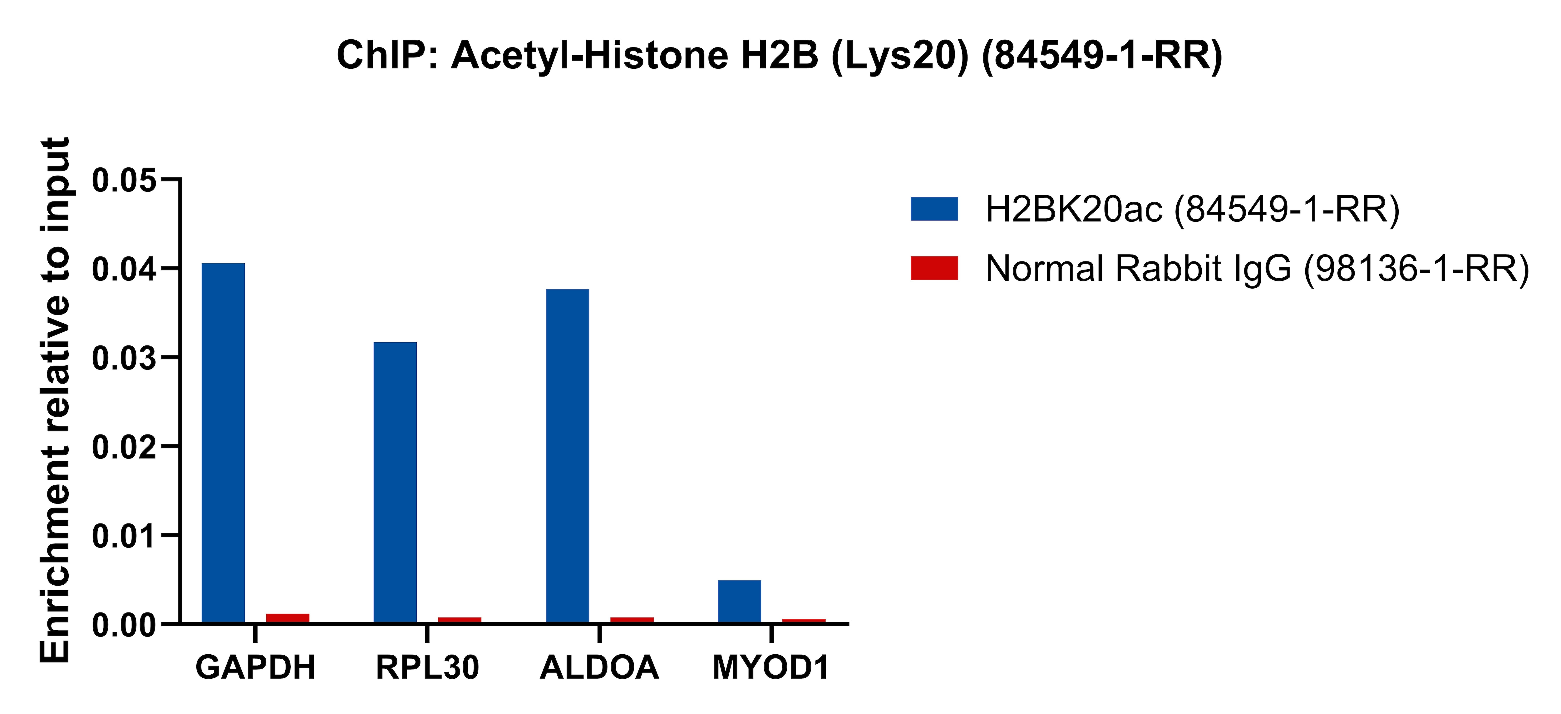 ChIP experiment of HeLa cells using Acetyl-Histone H2B (Lys20) Recombinant antibody (84549-1-RR)