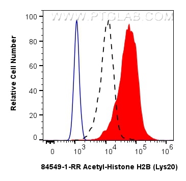Flow cytometry (FC) experiment of NIH/3T3 cells using Acetyl-Histone H2B (Lys20) Recombinant monoclonal  (84549-1-RR)