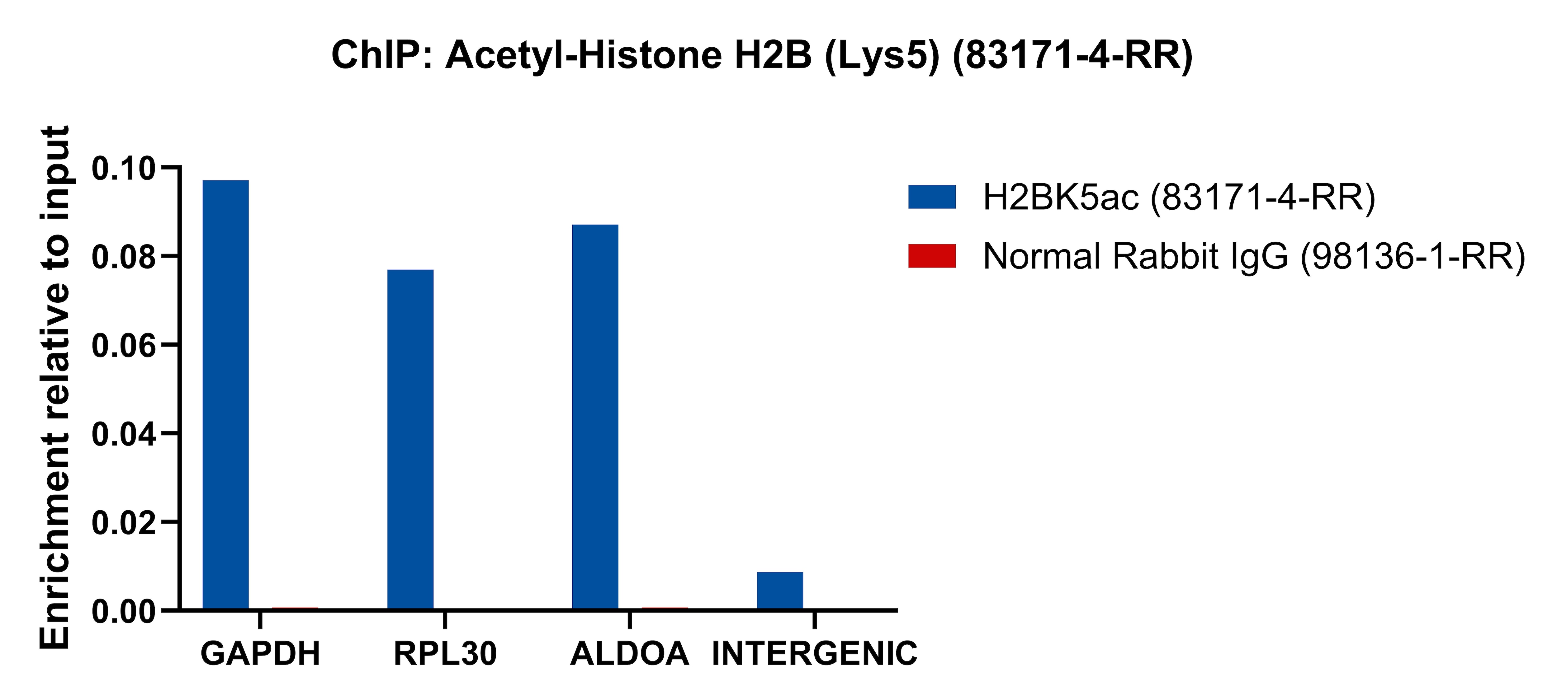 ChIP experiment of HeLa cells using Acetyl-Histone H2B (Lys5) Recombinant antibody (83171-4-RR)