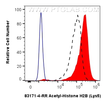 FC experiment of HeLa using 83171-4-RR (same clone as 83171-4-PBS) Flow cytometry (FC) experiment of HeLa cells using Acetyl-Histone H2B (Lys5) Recombinant monoclonal a (83171-4-RR)