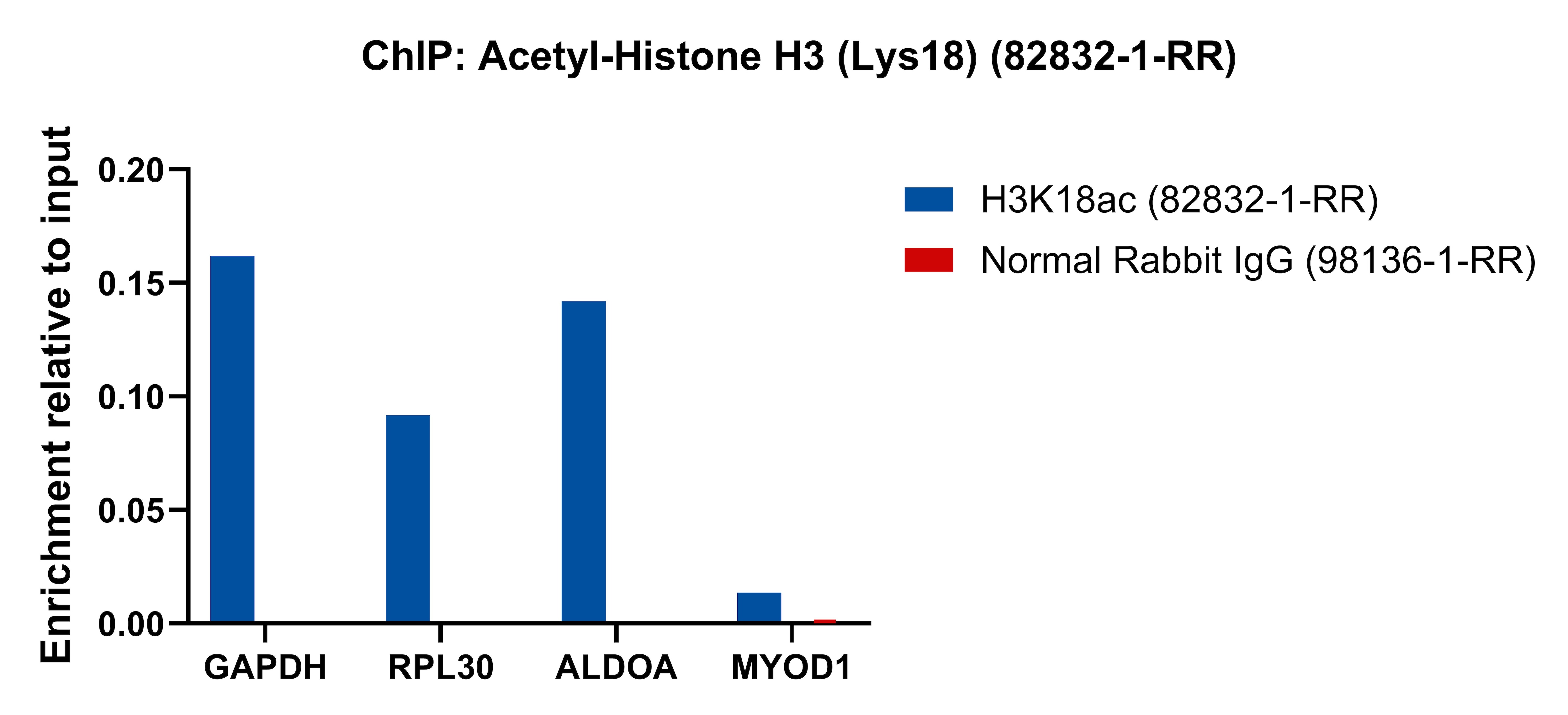 ChIP experiment of HeLa cells using Acetyl-Histone H3 (Lys18) Recombinant antibody (82832-1-RR)